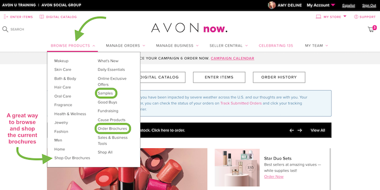Virtual Catalog  Avon campaign, Playtex, Selling avon